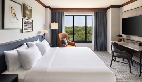 Suite, 1 Bedroom, River View