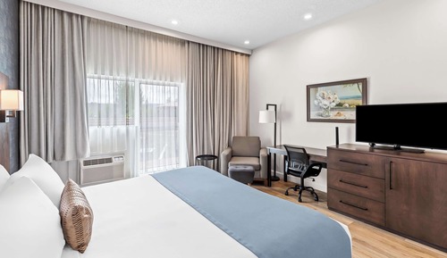 Standard Room, 1 King Bed, Accessible, Non Smoking