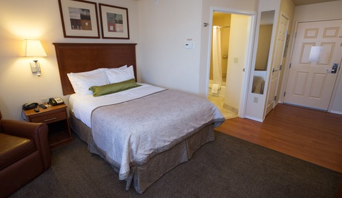 Suite, 1 Bedroom