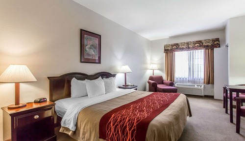 Standard Room, 1 King Bed, Non Smoking