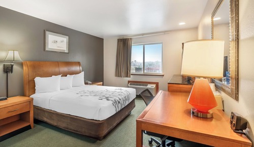 Basic Suite