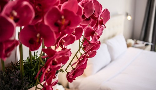 Junior Suite, Terrace, Pool View
