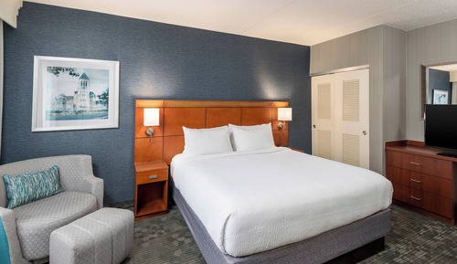 Suite, 1 King Bed with Sofa bed