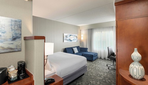 Executive Room, 1 King Bed with Sofa bed