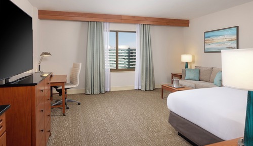 Suite, 1 King Bed