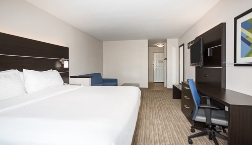 Suite, 1 King Bed with Sofa bed