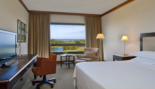Room, 1 King Bed, River View