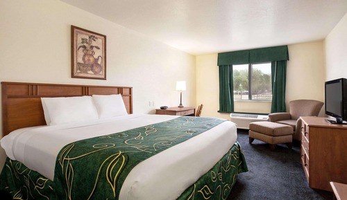 Room, 1 King Bed, Accessible, Non Smoking