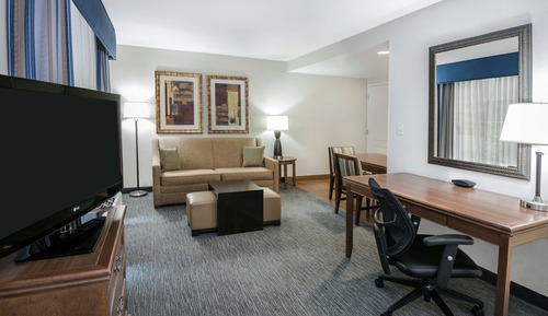 Studio Suite, 1 King Bed