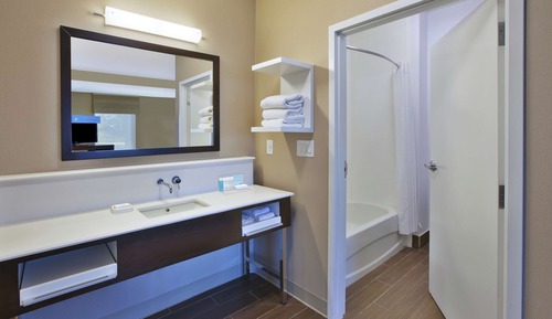 Studio Suite, 1 King Bed with Sofa bed
