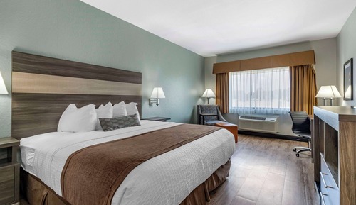 Standard Room, 1 King Bed, Non Smoking, Microwave