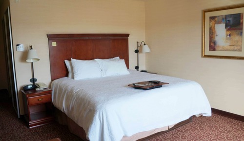 Room, 1 King Bed, Accessible