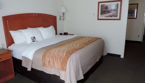 Standard Room, 1 King Bed, Non Smoking