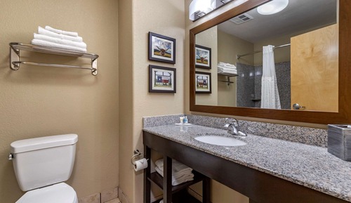 Suite, 1 King Bed with Sofa bed, Non Smoking