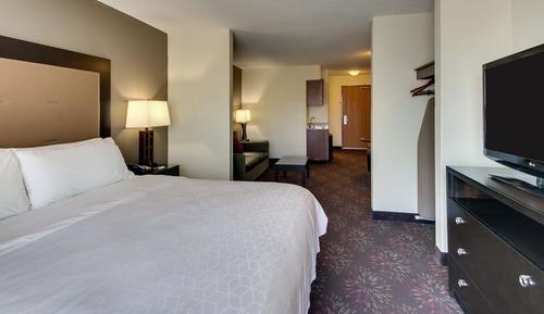 Suite, 1 King Bed with Sofa bed