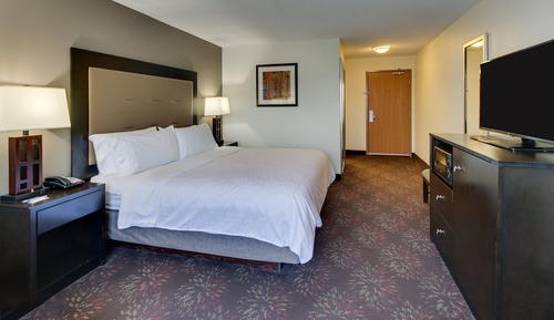 Standard Room, 1 King Bed, Accessible Bathtub (Accessible Tub)