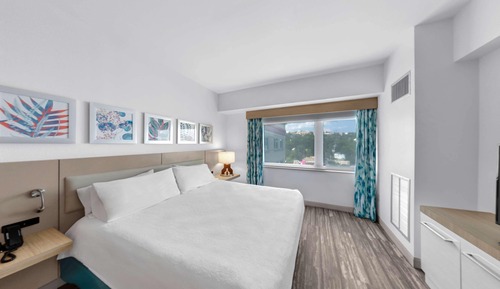 Room, 1 King Bed with Sofa bed, View, Corner