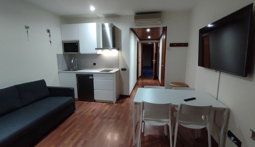 Basic Apartment