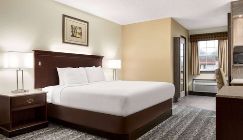 Room, 1 King Bed, Non Smoking