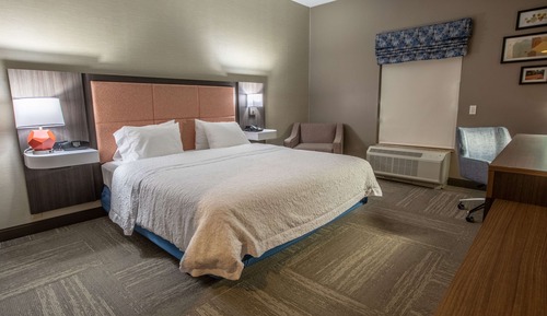 Room, 1 King Bed, Accessible