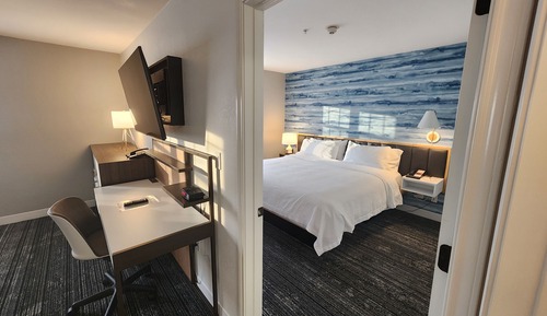 Suite, 1 King Bed with Sofa bed