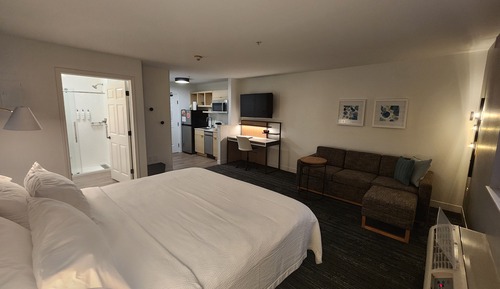 Studio, 1 King Bed with Sofa bed