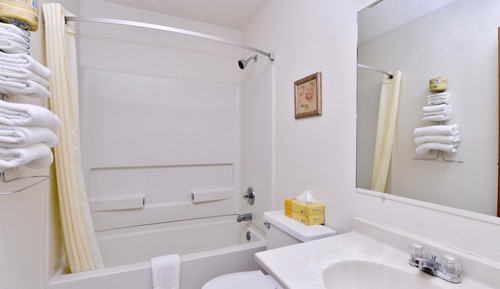 Room, 1 King Bed, Non Smoking