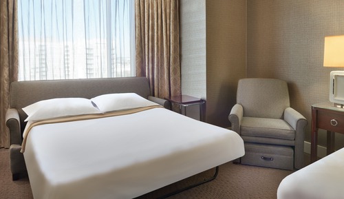Room, 1 King Bed with Sofa bed