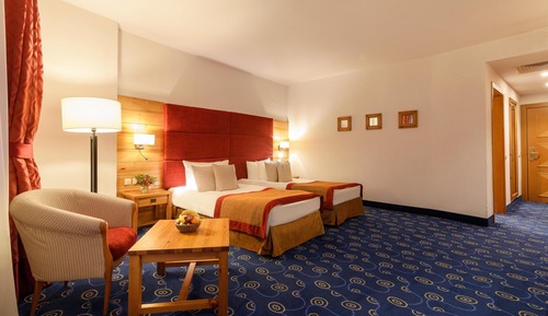 Superior Room, 2 Twin Beds, Mountain View