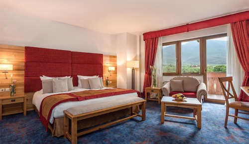 Superior Room, 1 King Bed, Mountain View