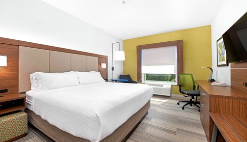 Room, 1 King Bed, Non Smoking, Refrigerator