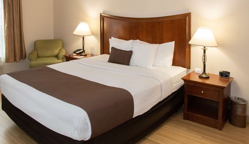 Standard Room, 1 King Bed, Accessible, Non Smoking