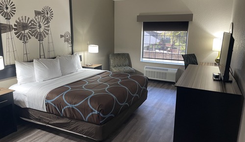 Room, 1 King Bed, Non Smoking