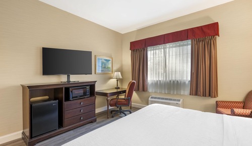 Standard Room, 1 King Bed, Accessible, Refrigerator & Microwave (Walk-in Shower;with Sofabed)