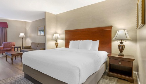 Standard Room, 1 King Bed, Non Smoking (Shower Only;with Sofabed)