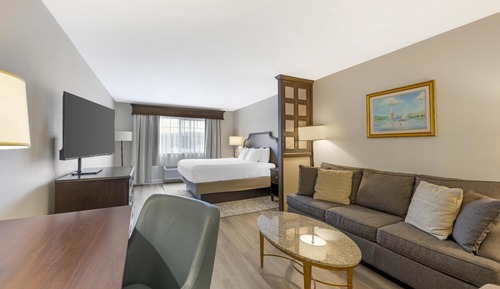 Deluxe Room, 1 King Bed, Non Smoking, Refrigerator & Microwave (with Sofabed)