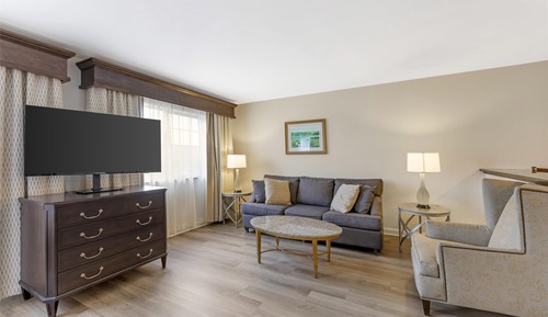 Standard Room, 1 King Bed, Non Smoking, Jetted Tub (with Sofabed)