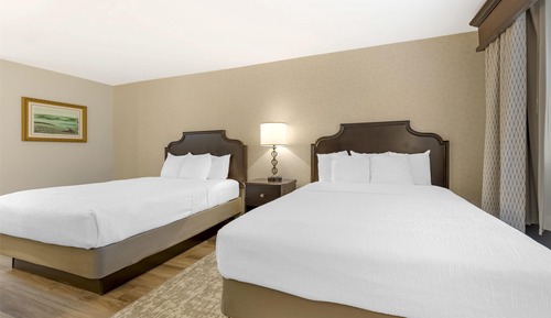 Standard Room, 2 Queen Beds, Non Smoking, Microwave (Pet Friendly)