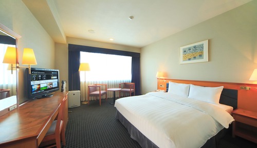 Standard Double Room, 1 Bedroom, Non Smoking