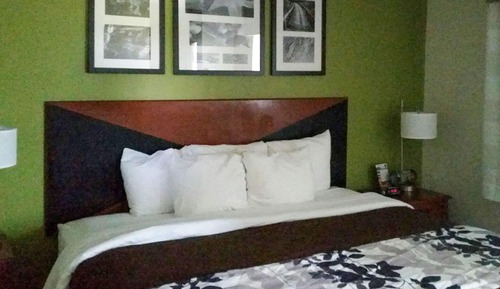 Standard Room, 1 King Bed, Non Smoking