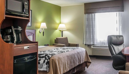 Suite, 1 King Bed with Sofa bed, Non Smoking