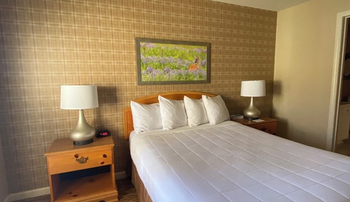 One Bedroom Suite
