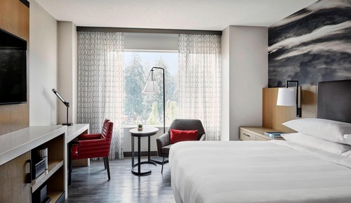 Room, 1 King Bed, Non Smoking