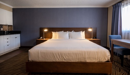 Standard Studio Suite