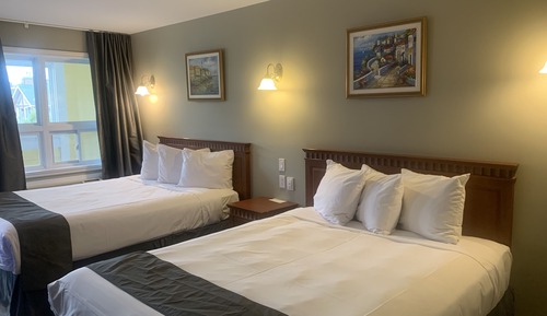 Standard Single Room, 2 Queen Beds