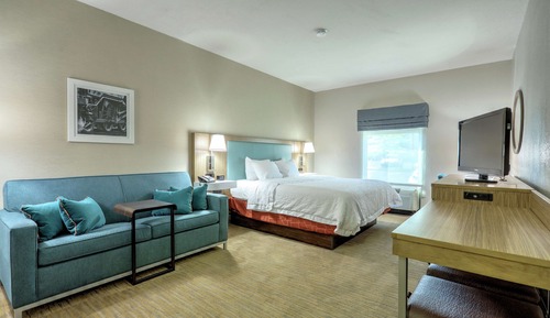 Room, 1 King Bed, Accessible, Non Smoking