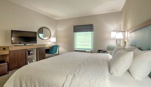 Room, 1 King Bed, Accessible, Non Smoking