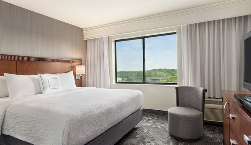 Suite, 1 King Bed with Sofa bed