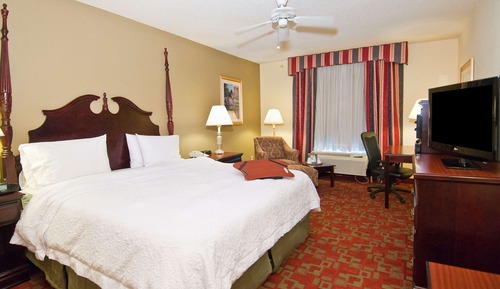 Room, 1 King Bed, Non Smoking, Refrigerator & Microwave