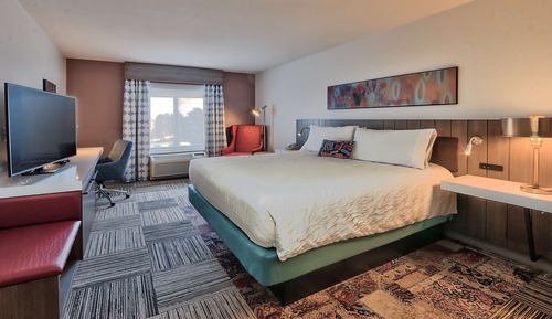 Room, 1 King Bed